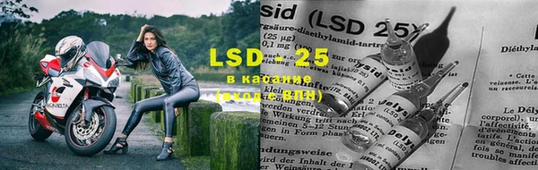 каннабис Майский