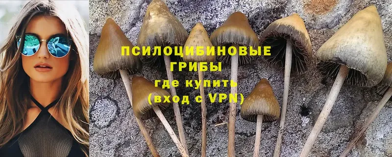 Псилоцибиновые грибы Magic Shrooms  Урюпинск 