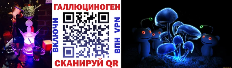 Псилоцибиновые грибы Psilocybe  наркошоп  Урюпинск 