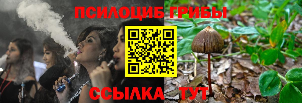 Галлюциногенные грибы GOLDEN TEACHER Урюпинск