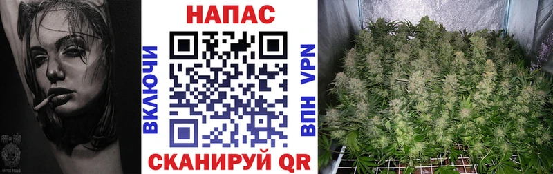 Шишки марихуана индика  Урюпинск 